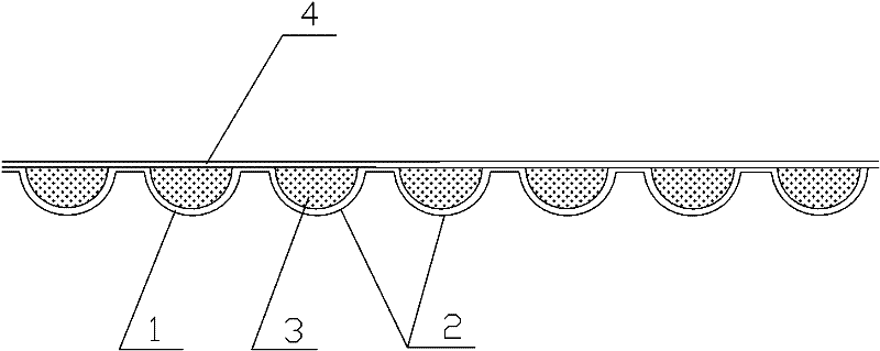 Environment-friendly and shockproof papery packaging film and preparation method thereof