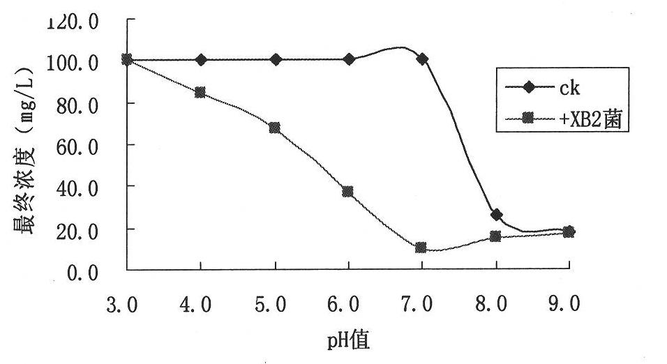 Bromoxynil octanoate degrading bacteria and bacterial agent prepared from same