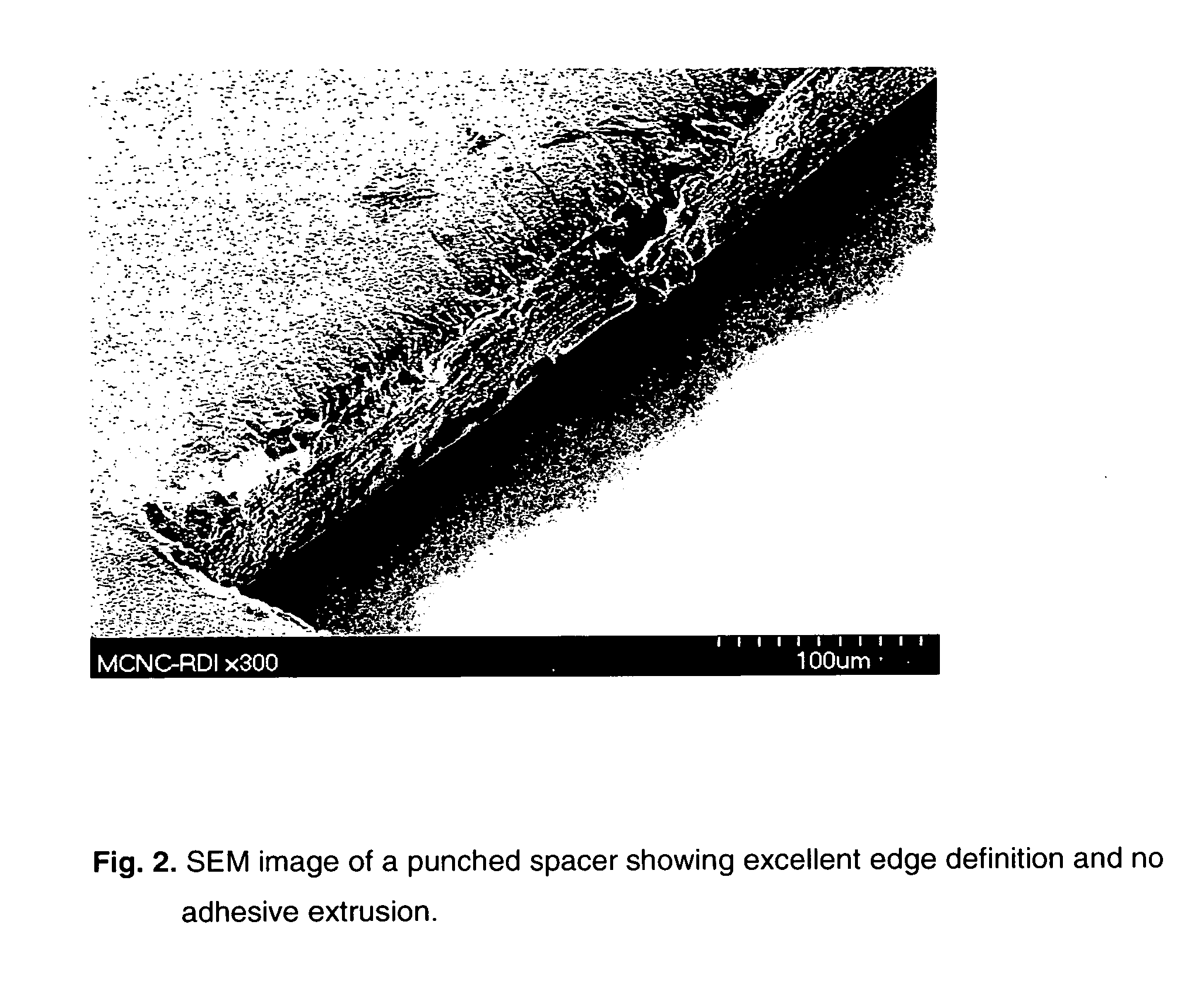 Biosensors comprising heat sealable spacer materials