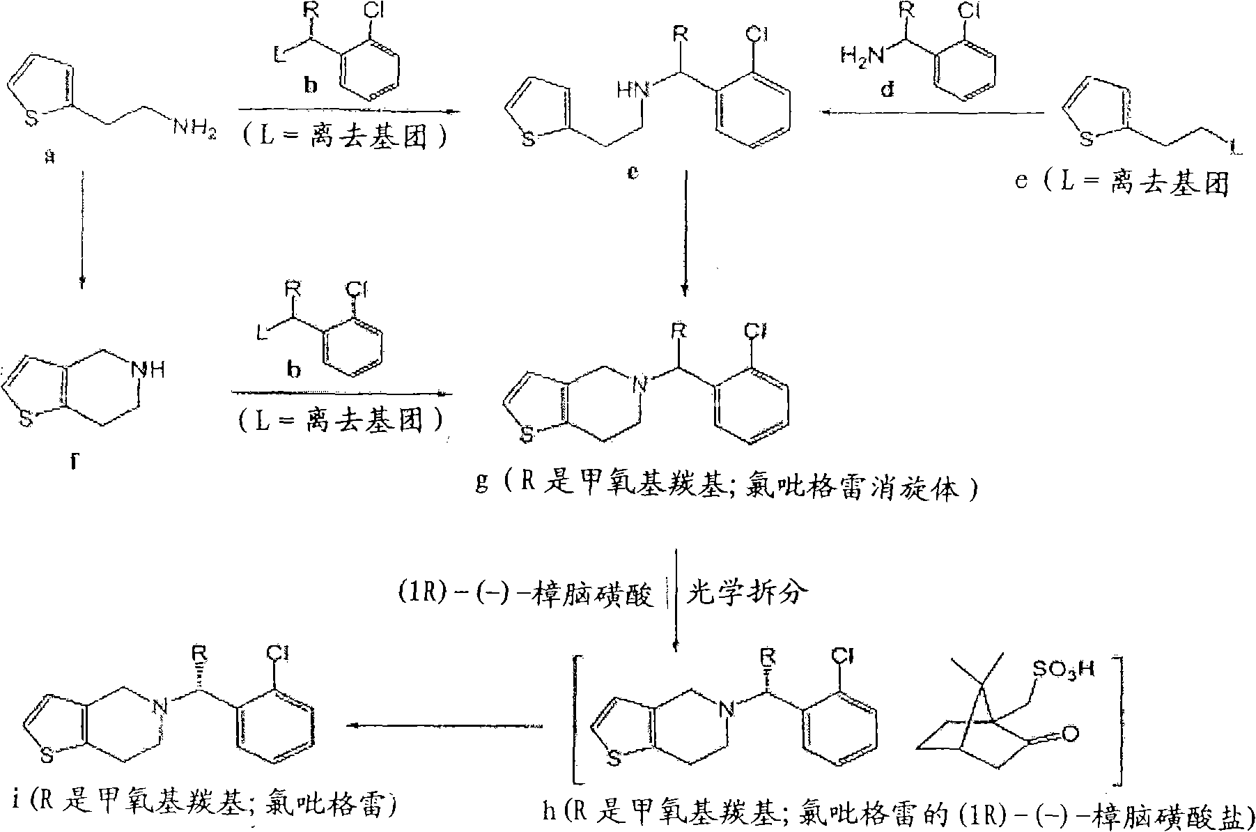 Process for the preparation of S-(+)-clopidogrel by optical resolution