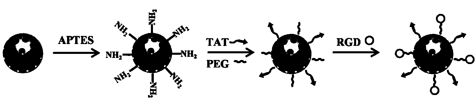 Tumor vessel-tumor cell membrane-cell nucleus continuous targeted drug delivery system, as well as preparation method and application thereof