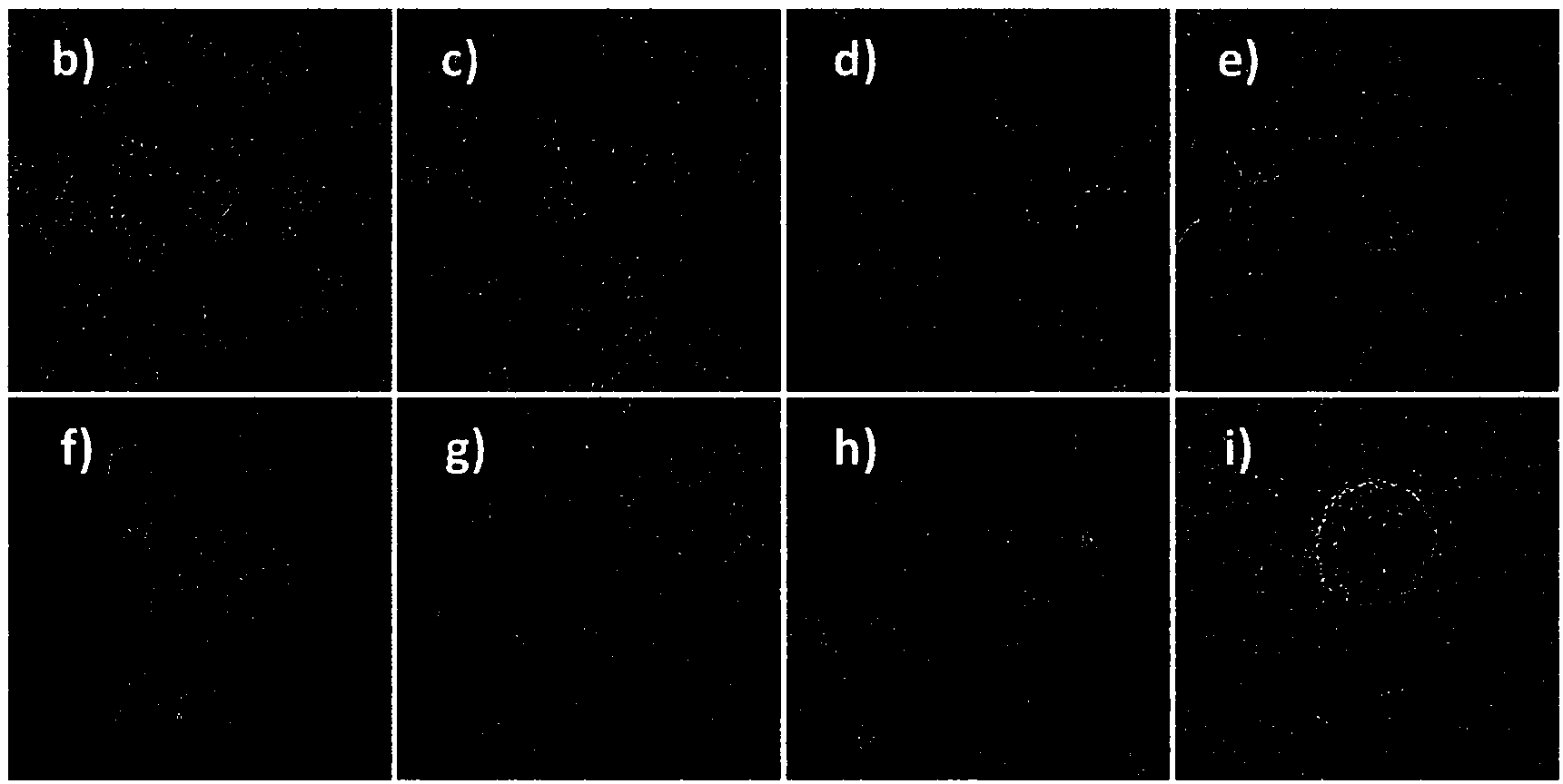 Tumor vessel-tumor cell membrane-cell nucleus continuous targeted drug delivery system, as well as preparation method and application thereof