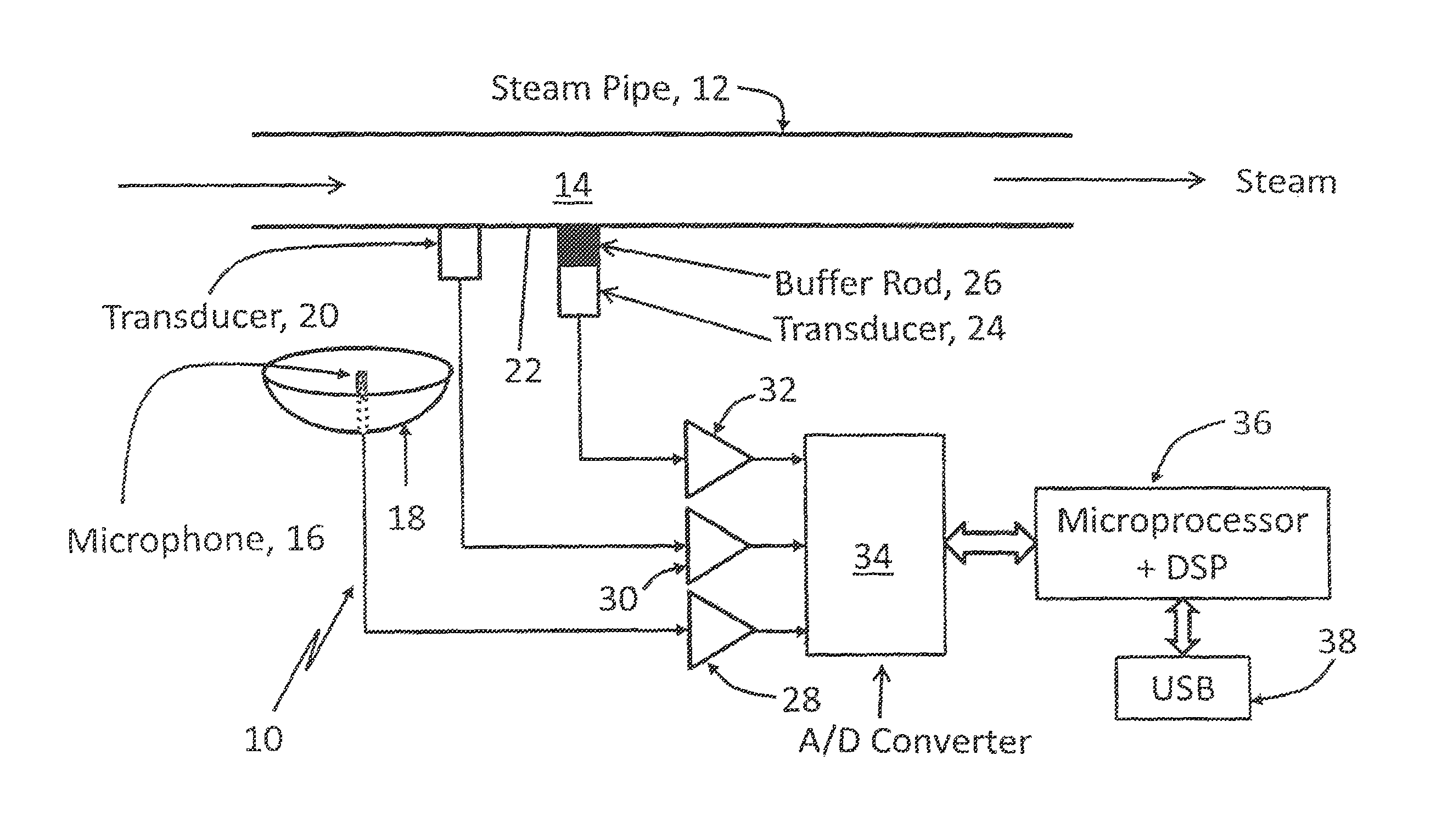 Apparatus and method for acoustic monitoring of steam quality and flow