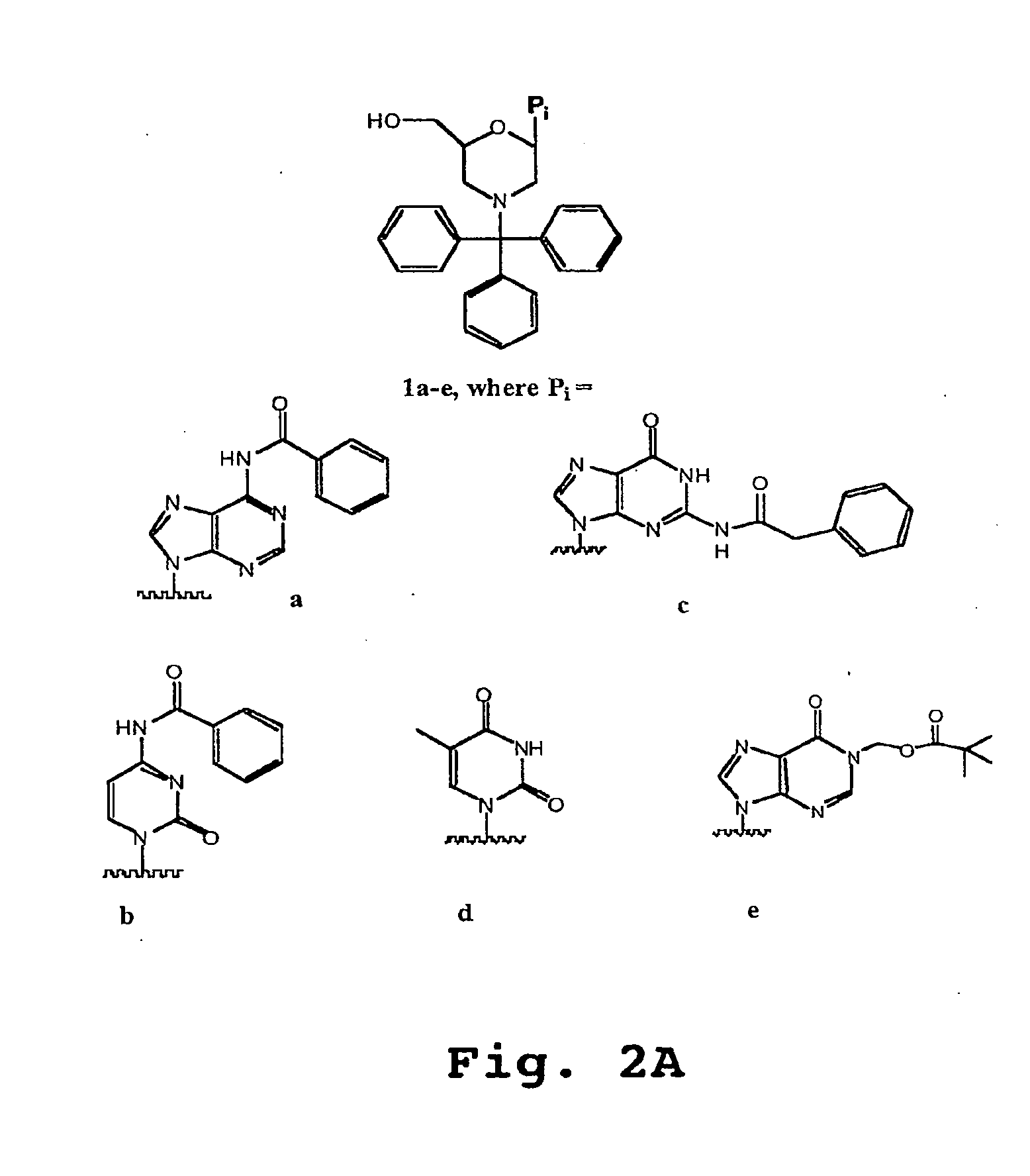 Antibacterial antisense oligonucleotide and method