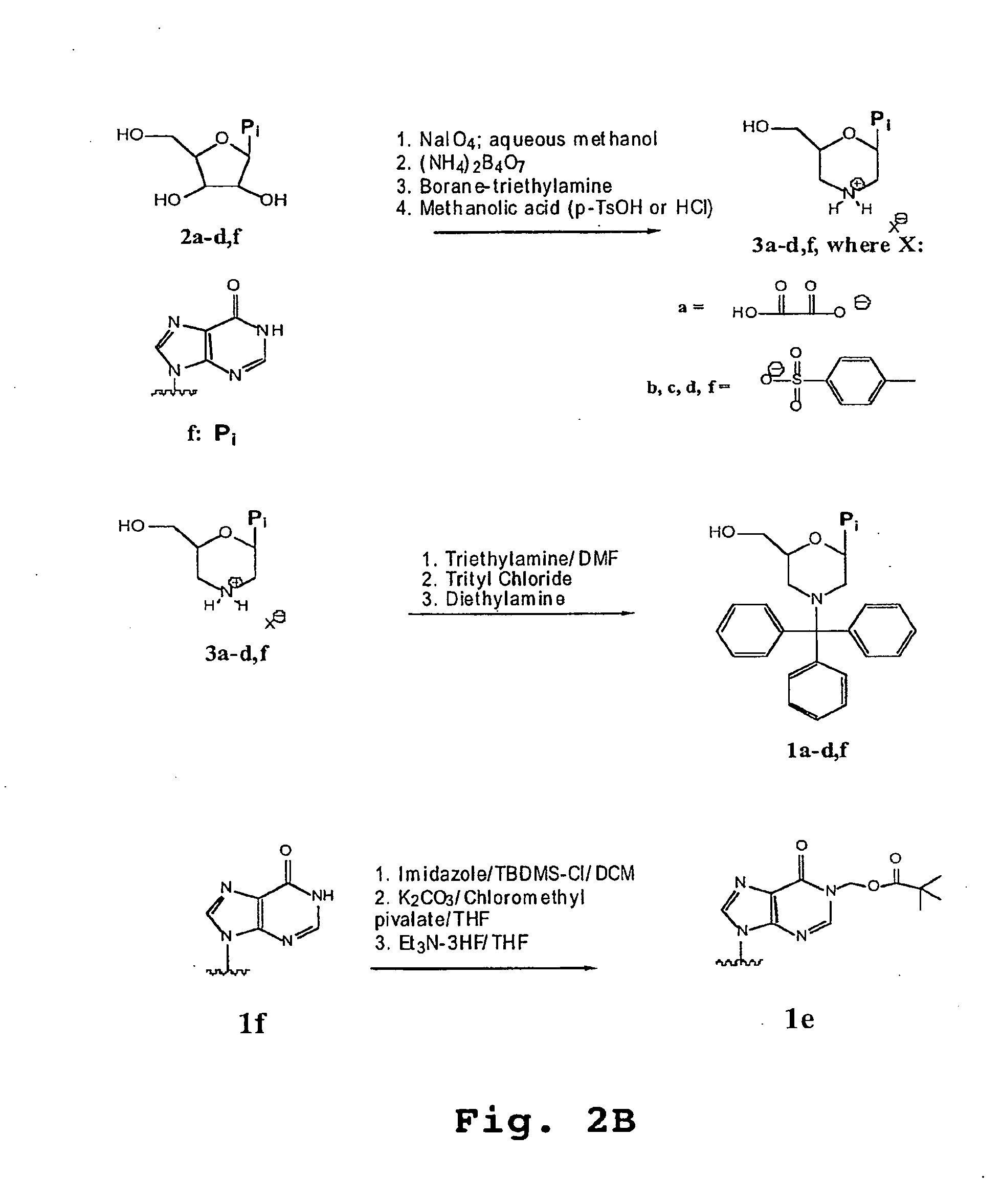 Antibacterial antisense oligonucleotide and method