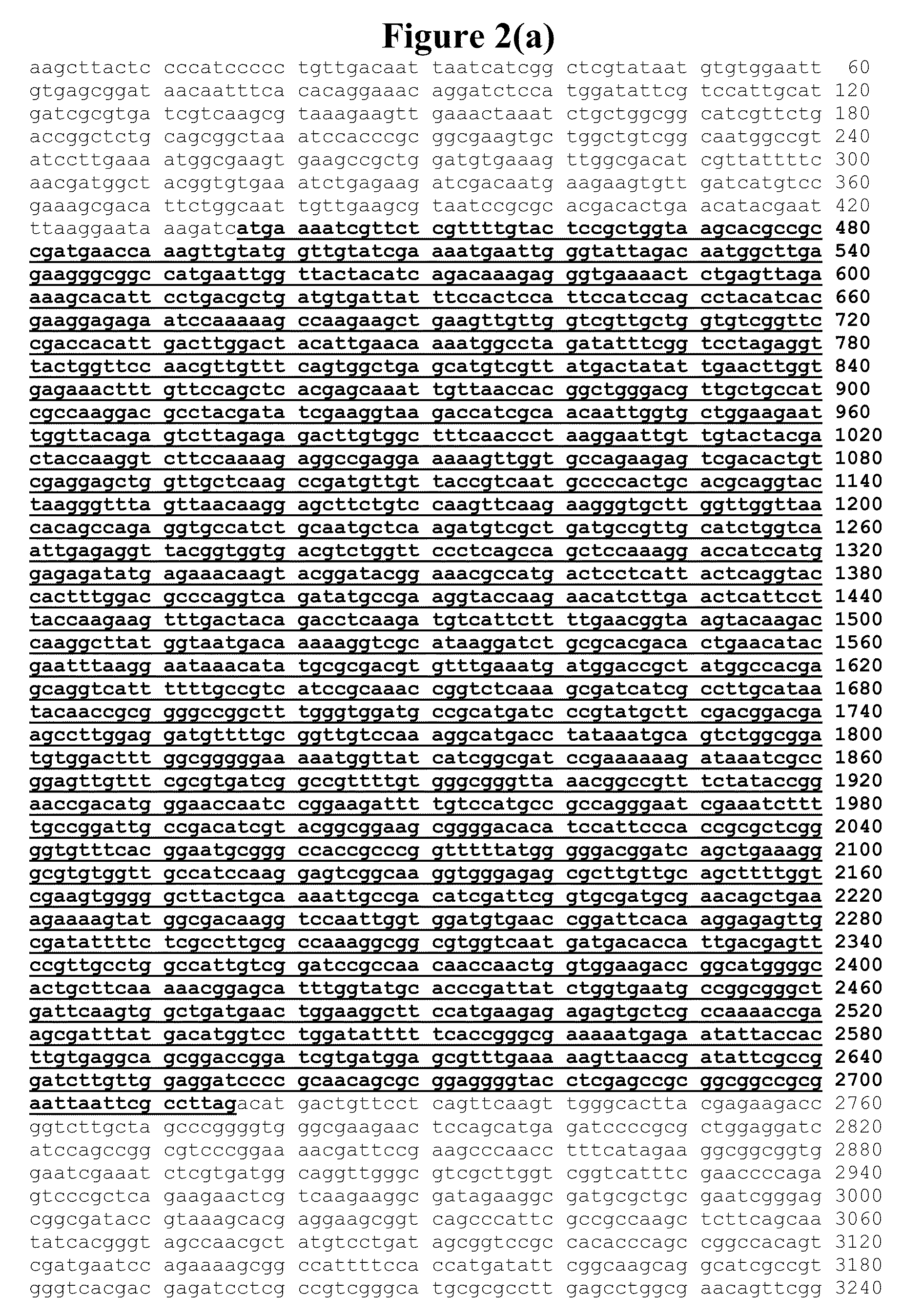 Genetically Stable Plasmid Expressing PDH and FDH Enzymes