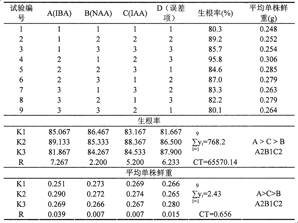 Rooting method of subprostrate sophora root tissue culture seedling leaf stalks