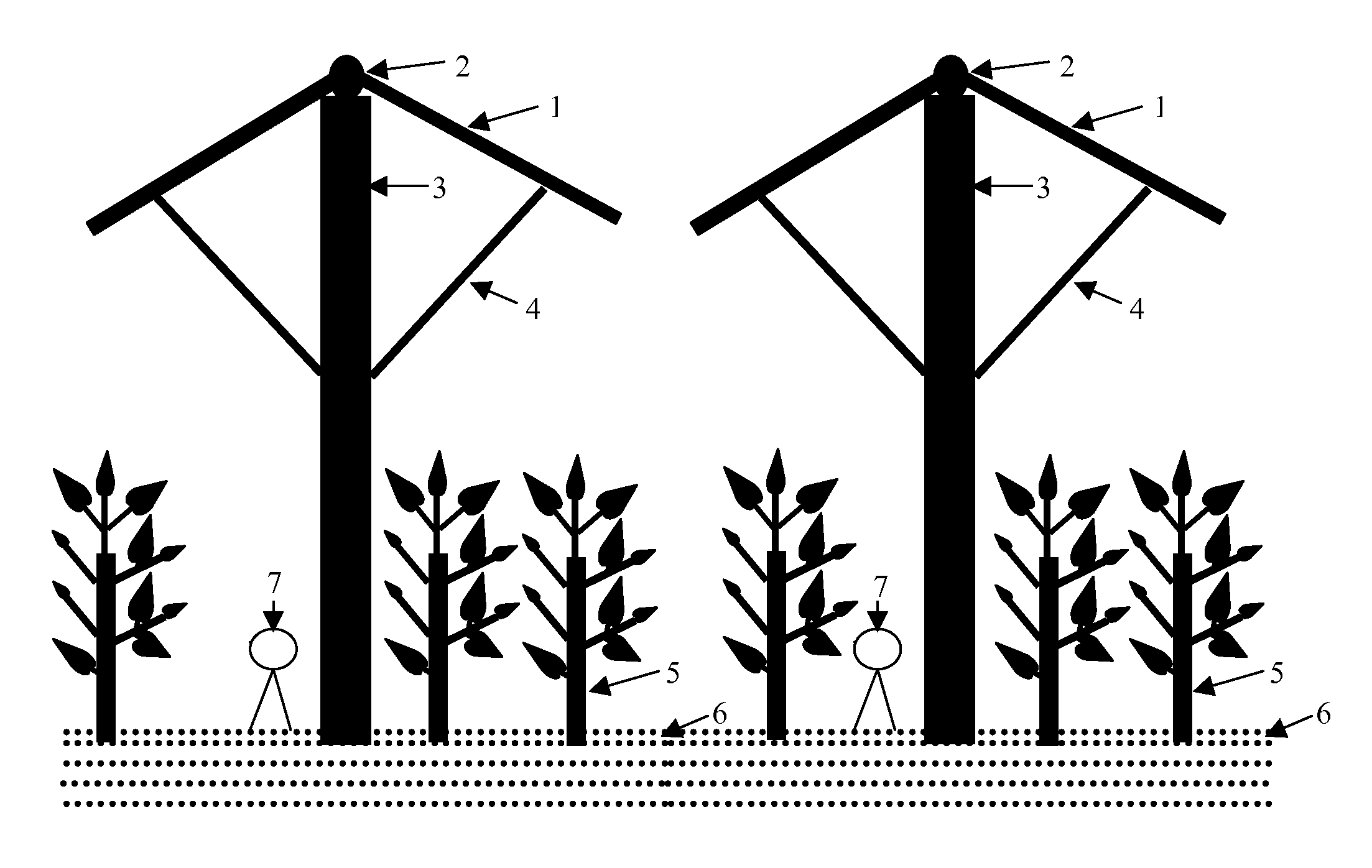 Apparatus and Method For Desert Environmental Control And For Promoting Desert Plants Growth