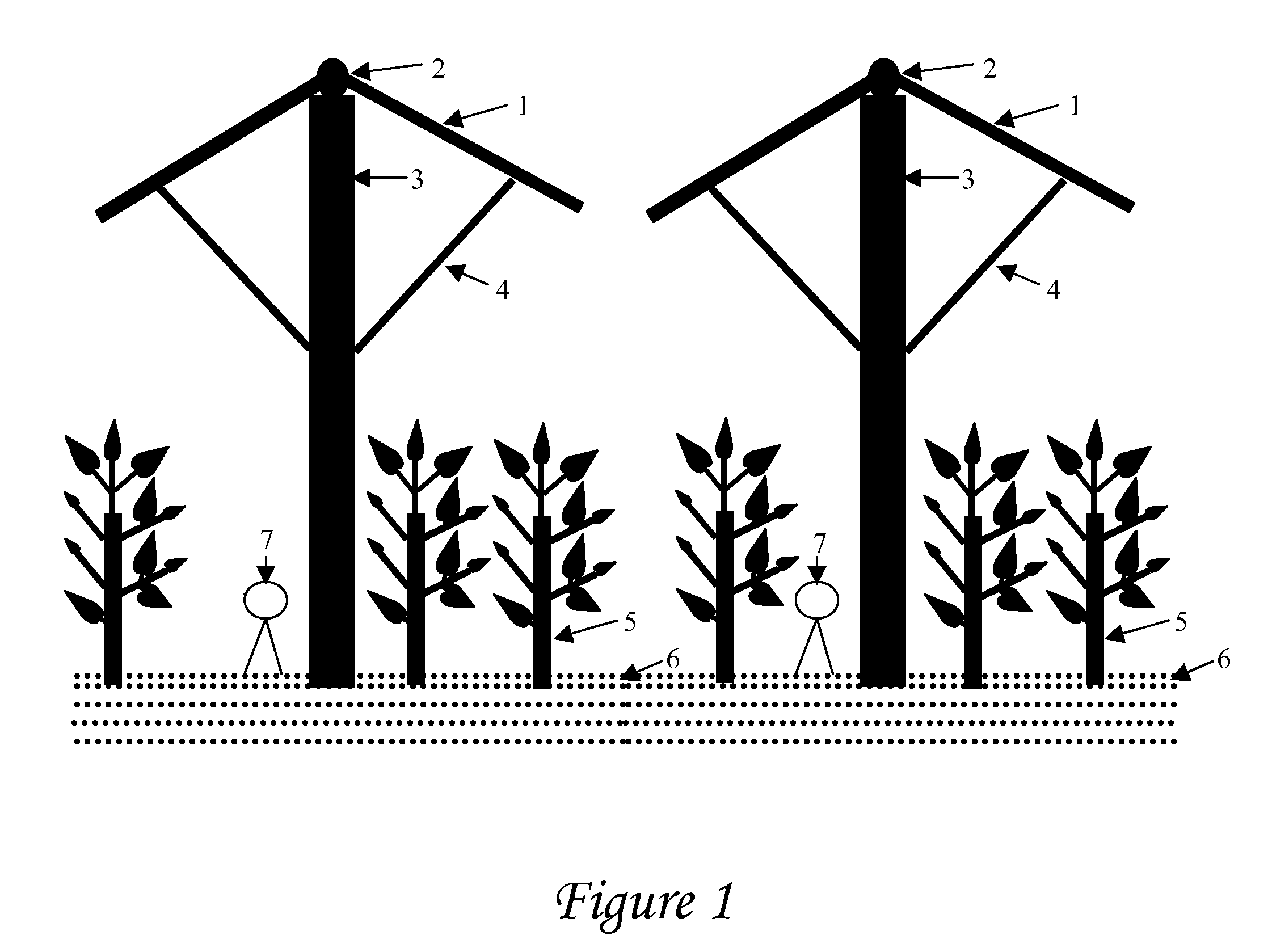 Apparatus and Method For Desert Environmental Control And For Promoting Desert Plants Growth