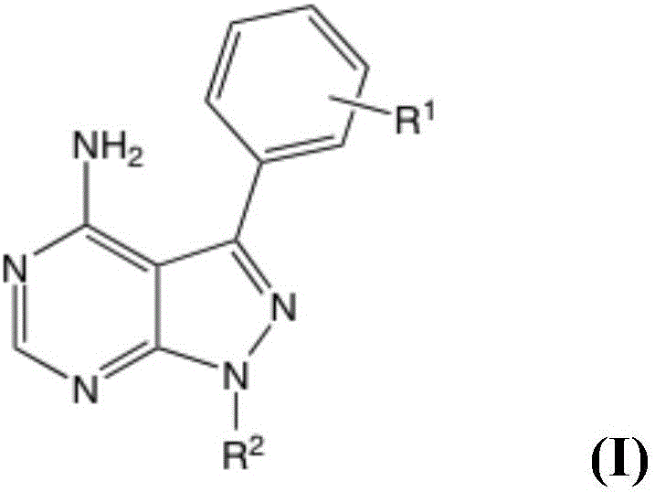 Synthesis of substituted 1h-pyrazolo[3,4-d]pyrimidines