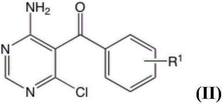 Synthesis of substituted 1h-pyrazolo[3,4-d]pyrimidines