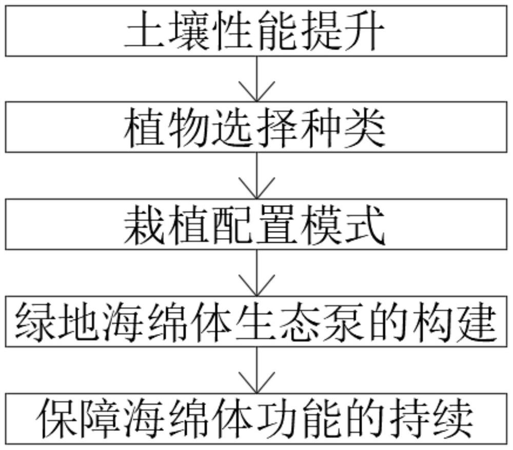 Method for improving function of green space cavernous body ecological pump