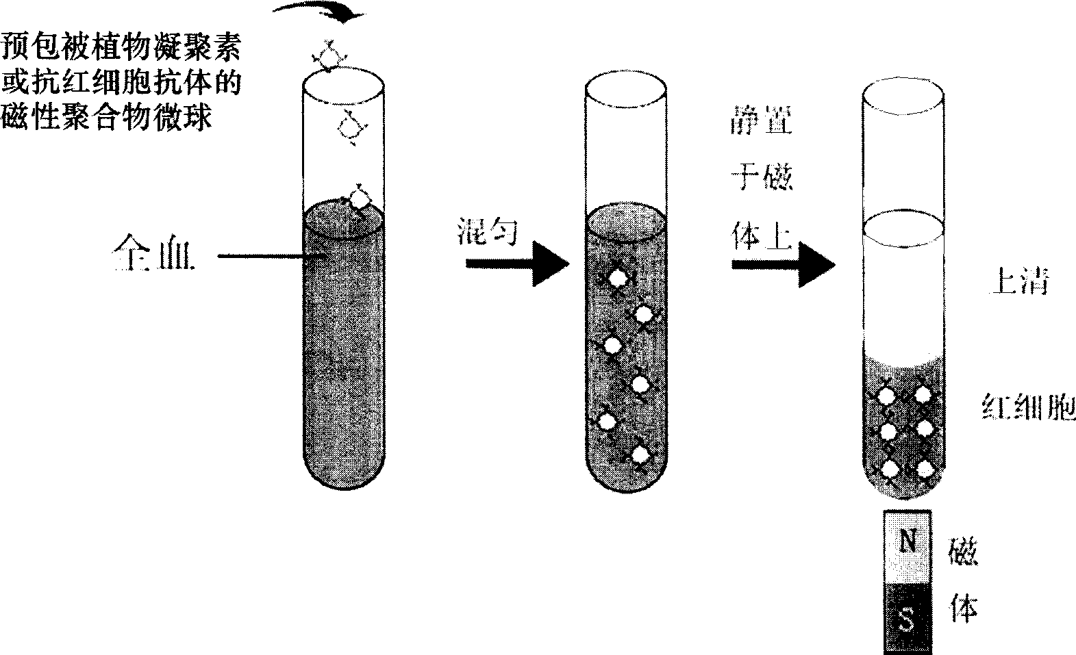 Method for separating red corpuscle from whole blood