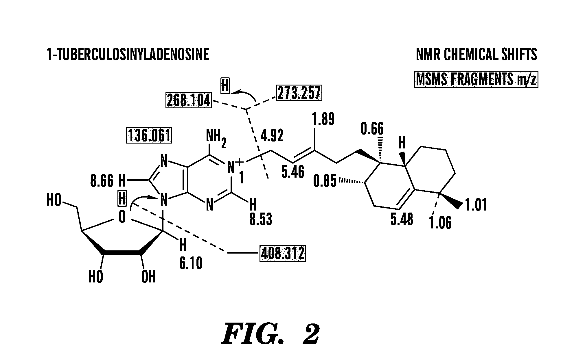 Methods and systems for determining m. tuberculosis infection