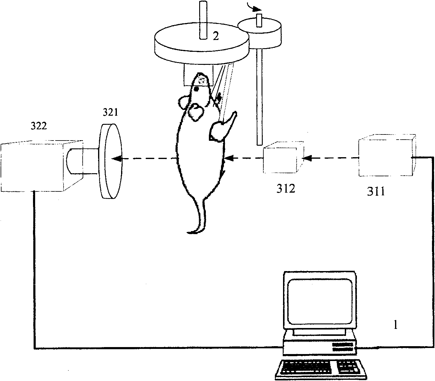 Continuous dynamic gathering type beastie inducing fluorescence molecule imaging system