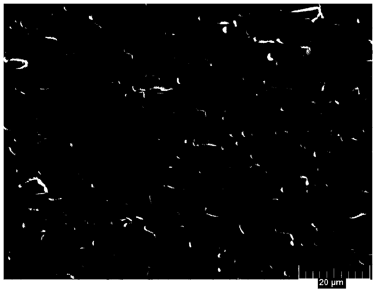 Lead-free compact strontium postasium niobate textured ceramic and preparation method thereof