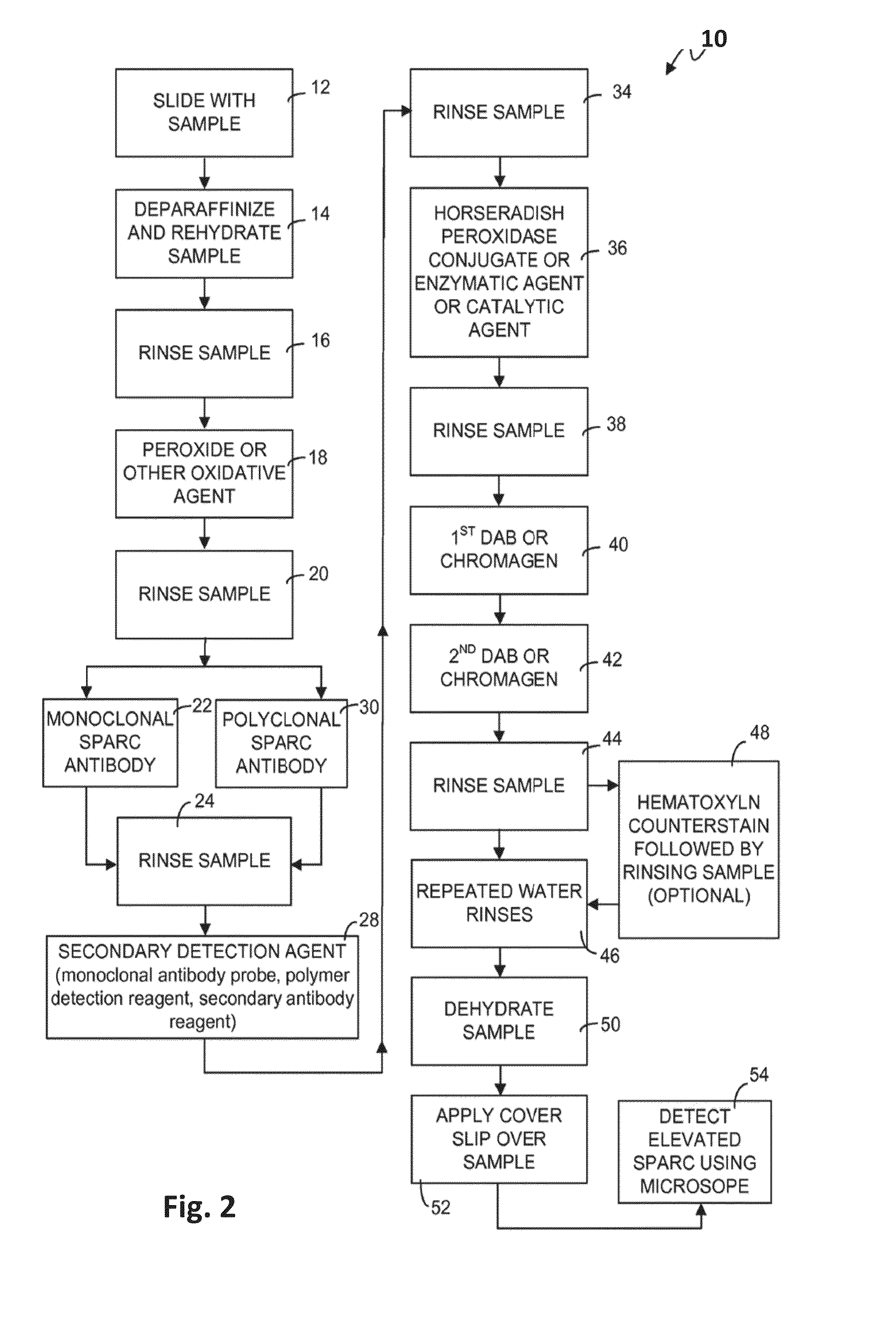 Theranostic and diagnostic methods using sparc and hsp90