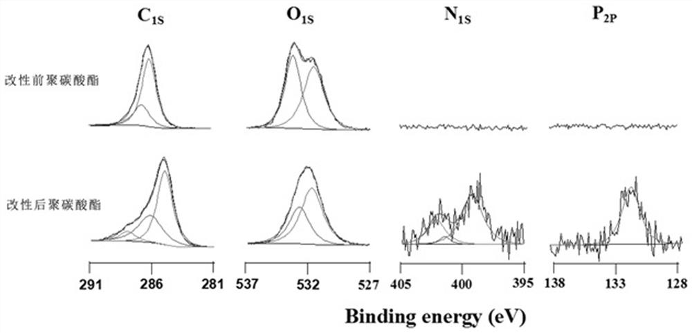 Preparation method of two phosphorylcholine coatings containing catechol, amino groups and carboxyl groups