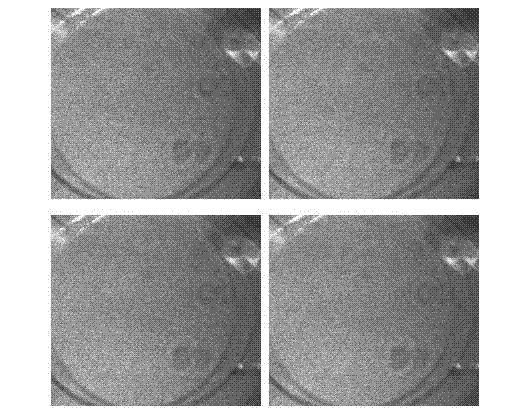 Real-time phase shifting method for high signal-to-noise ratio speckle interferometry