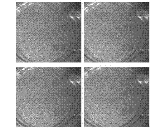 Real-time phase shifting method for high signal-to-noise ratio speckle interferometry