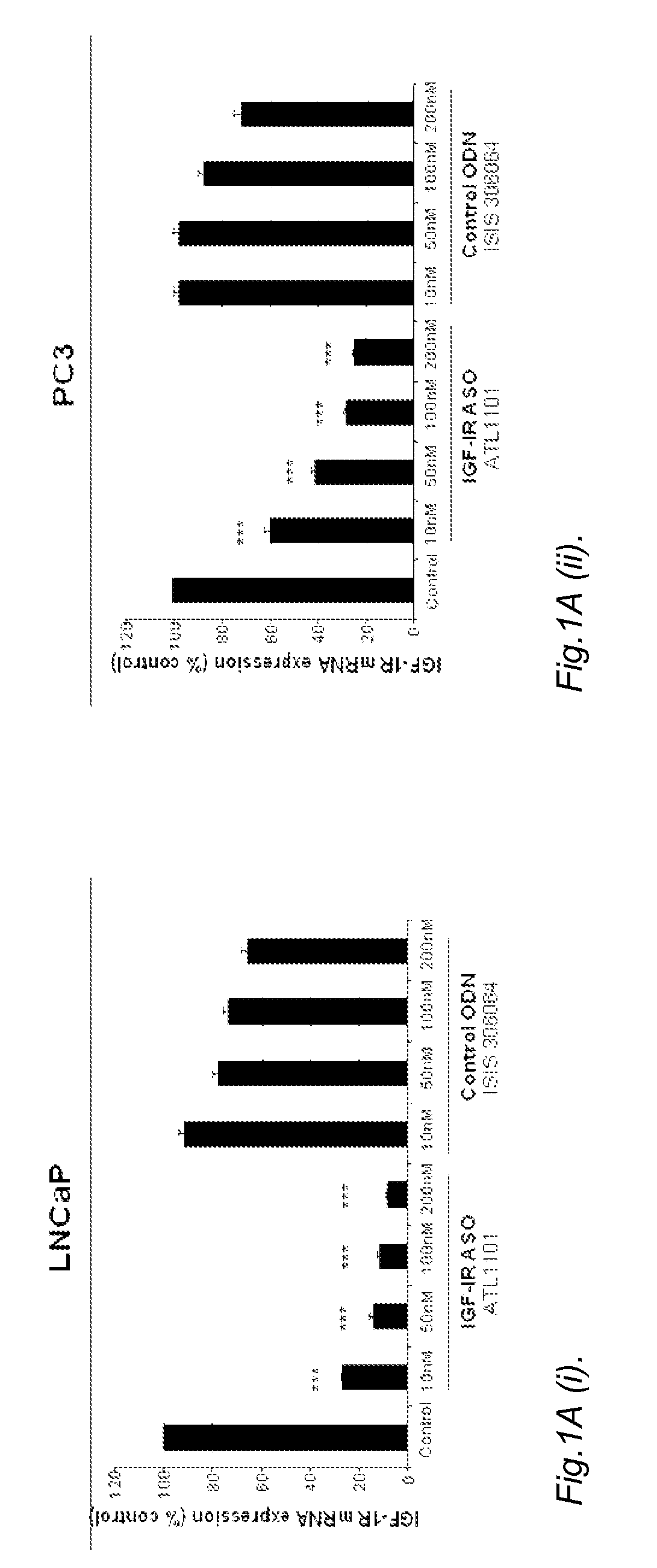 Modulation of Insulin Like Growth Factor I Receptor Expression in Cancer