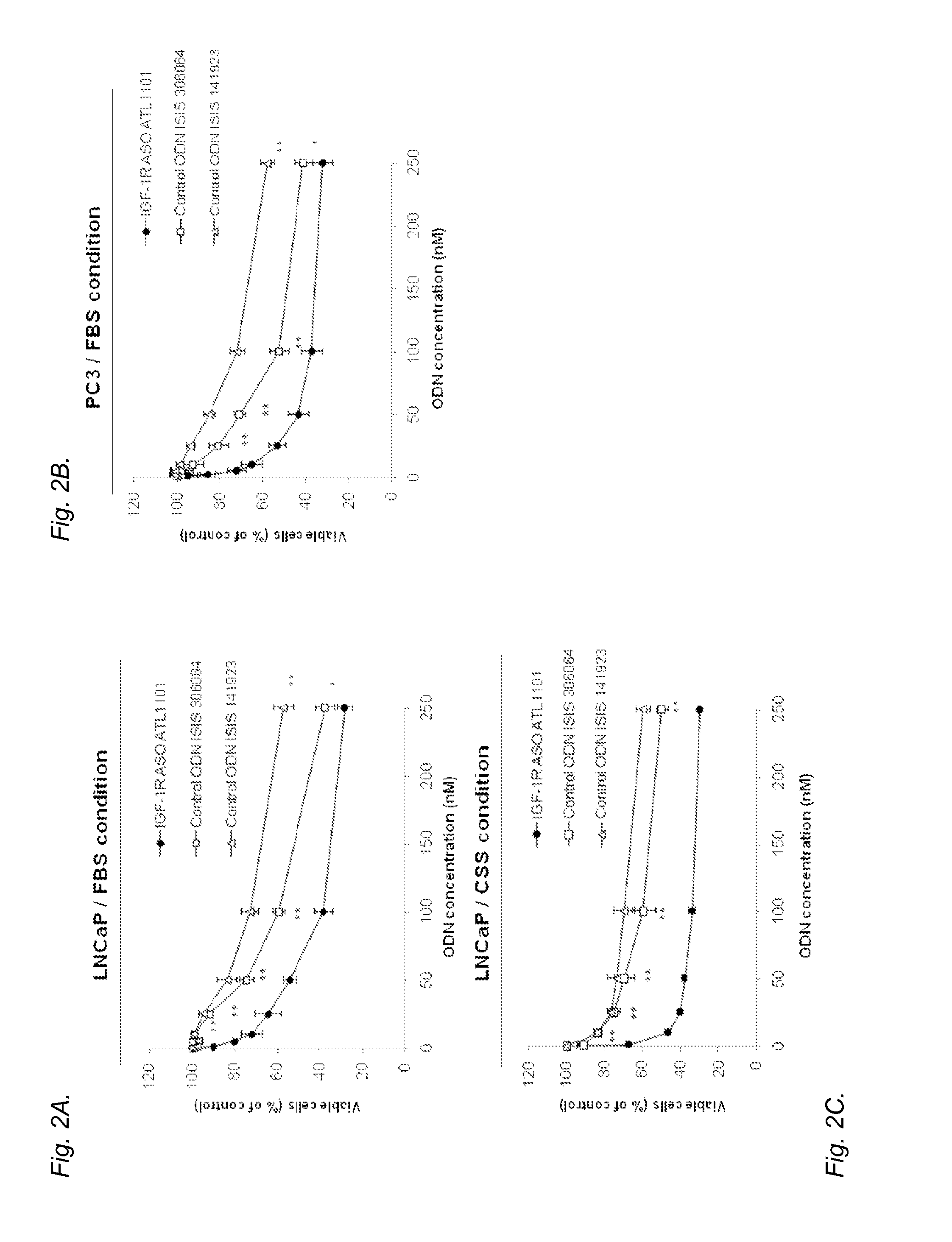 Modulation of Insulin Like Growth Factor I Receptor Expression in Cancer