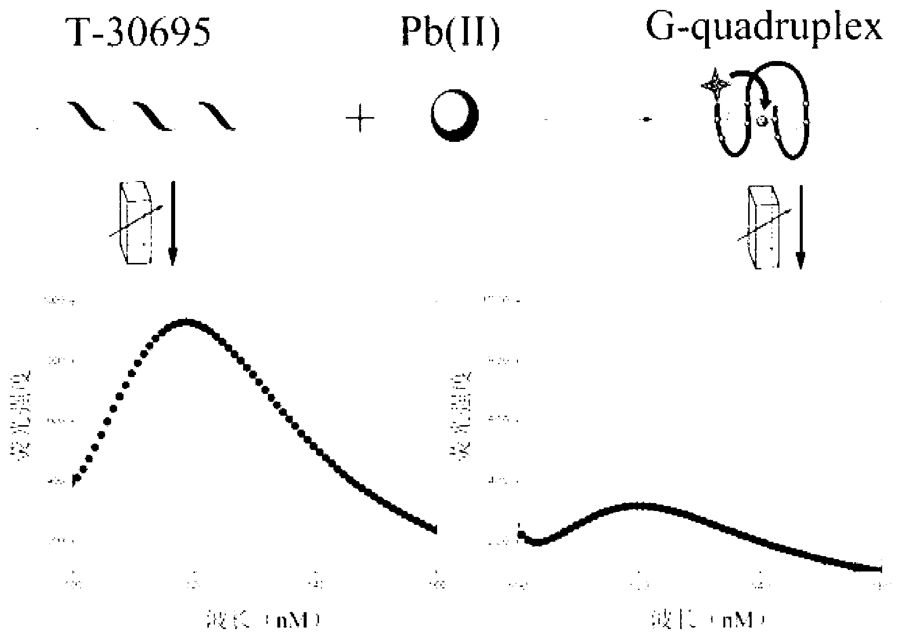 Method for detecting lead ions by forming G-quadruplex quenching fluorescent light by using functional nucleic acid