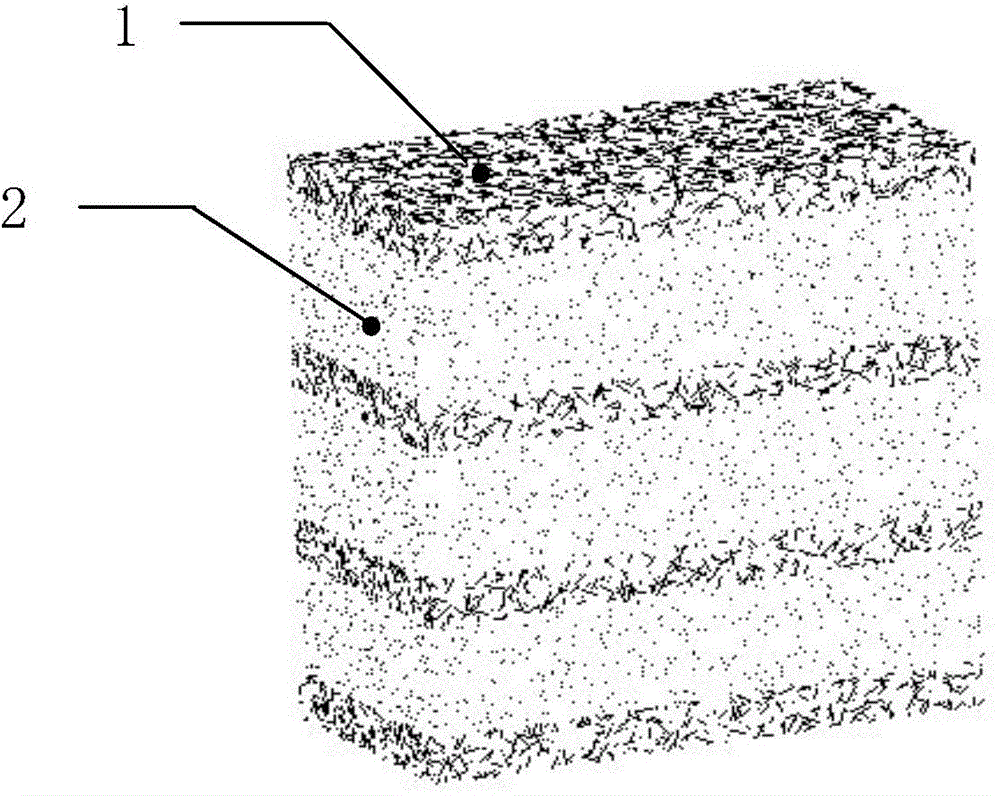 Anaerobic ammonia oxidizing bacteria sandwich-type multilayer immobilized bioactive filler, and preparation and application thereof