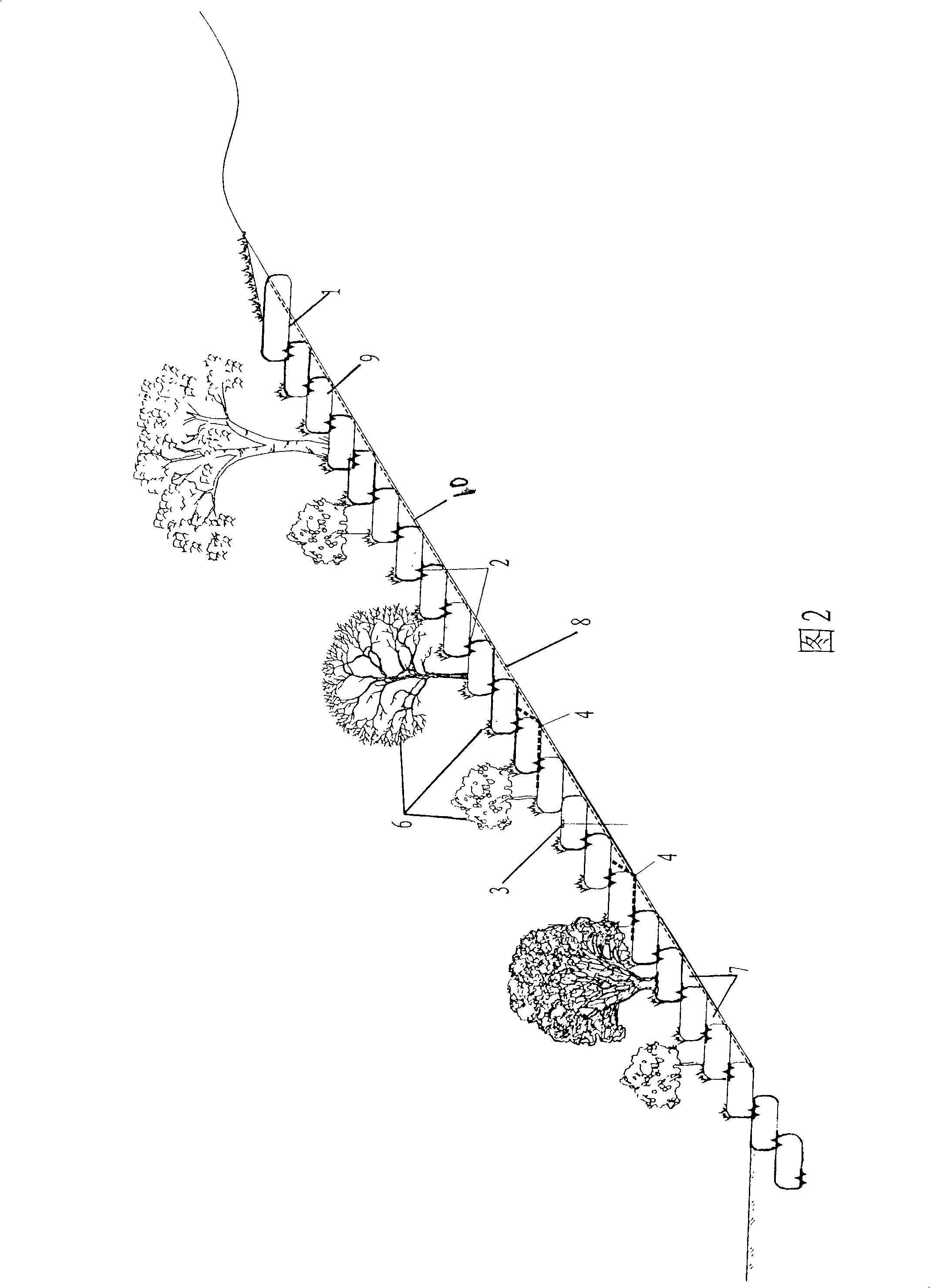 Method for greening infertile side slope fields