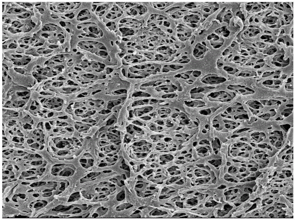 Organic/inorganic hybrid hydrophilic modified hollow fiber polymer film and preparation method thereof