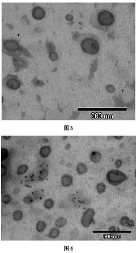 Vanilla complex phospholipid liposome and preparation method thereof