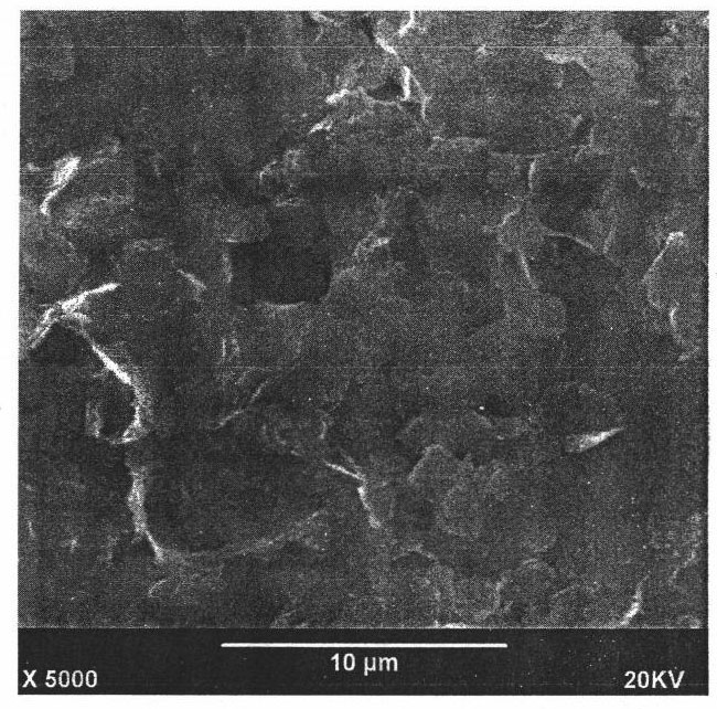 Method for synthesizing novel visible light driven BI2WO6 photocatalyst by employing microemulsion-hydrothermal technology