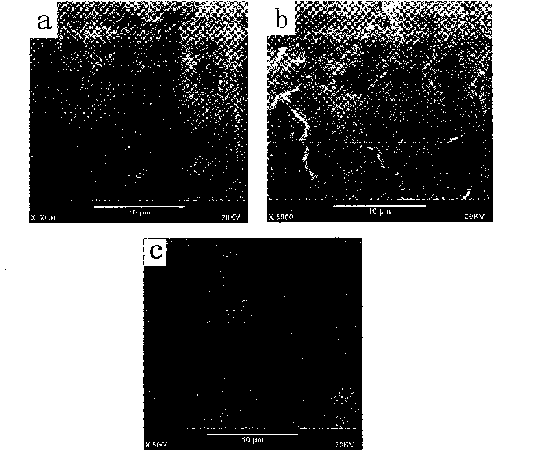 Method for synthesizing novel visible light driven BI2WO6 photocatalyst by employing microemulsion-hydrothermal technology