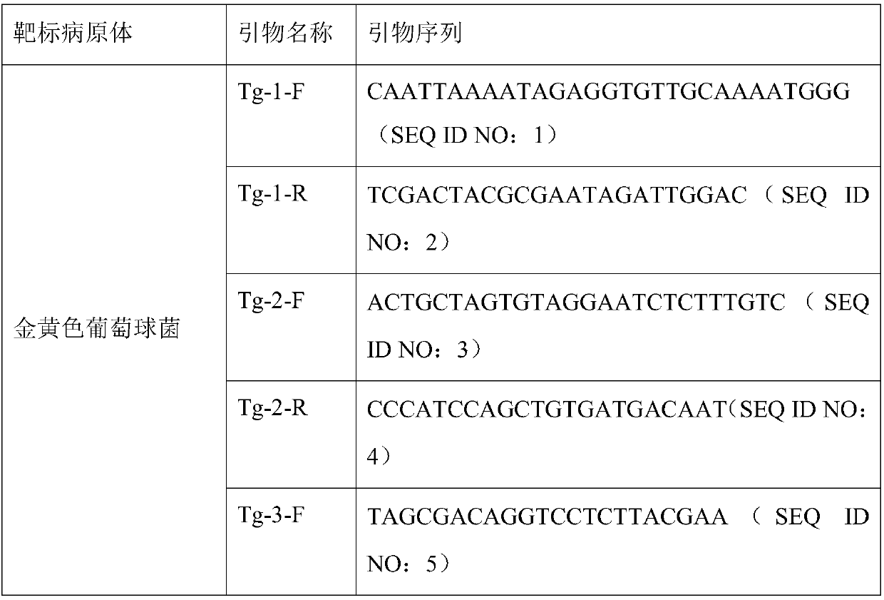 Primer group, kit and library construction method for detecting five bloodstream infection pathogens,