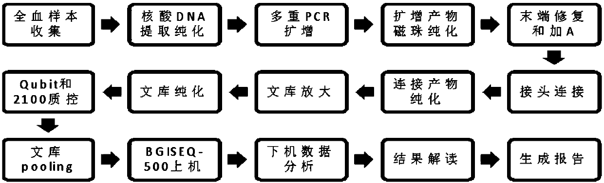 Primer group, kit and library construction method for detecting five bloodstream infection pathogens,