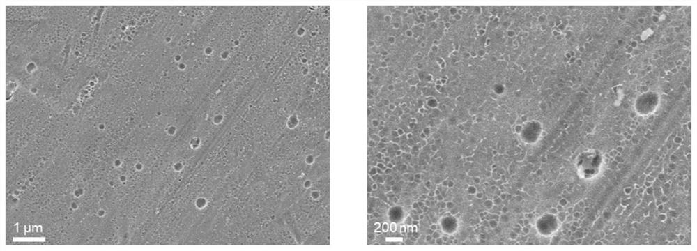 Porous aluminum foil for lithium ion battery current collector and preparation method and application thereof