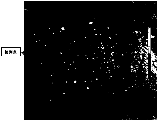 Online testing device and testing method for full-field deformation in contact print of rubber tire tread rubber material