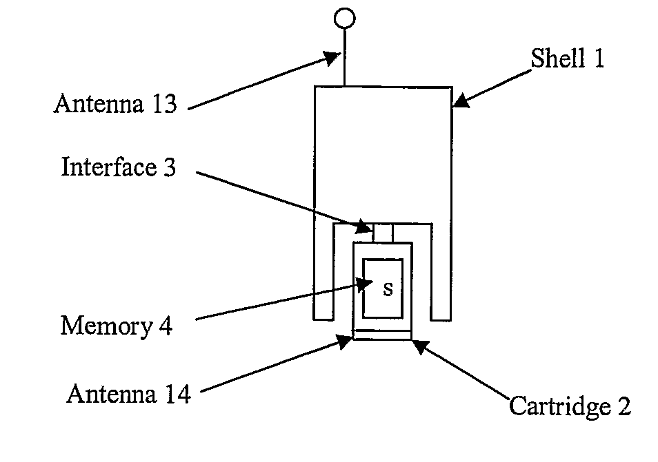 Apparatus for a Removable Wireless Module With Storage Memory