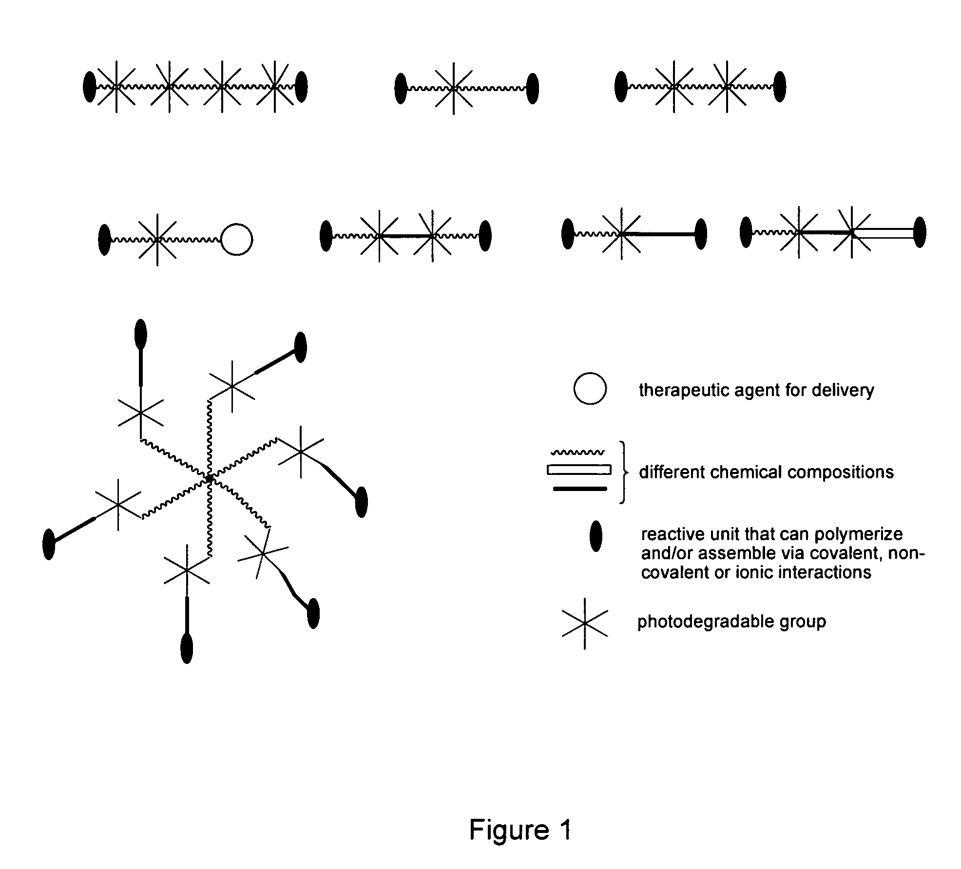 Photodegradable groups for tunable polymeric materials