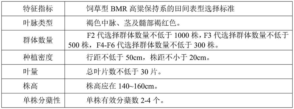 A kind of breeding method of forage type bmr sorghum sterile line