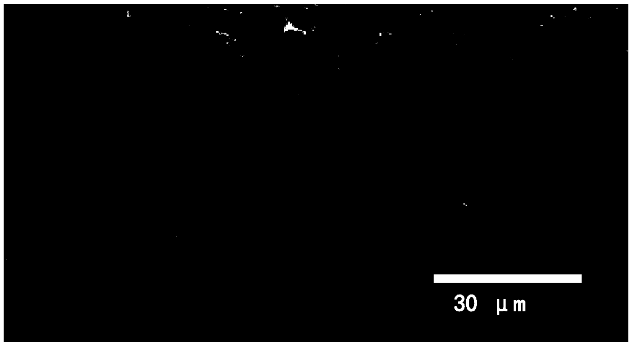 Graphene-based high-performance composite lithium metal negative electrode material and preparation method thereof