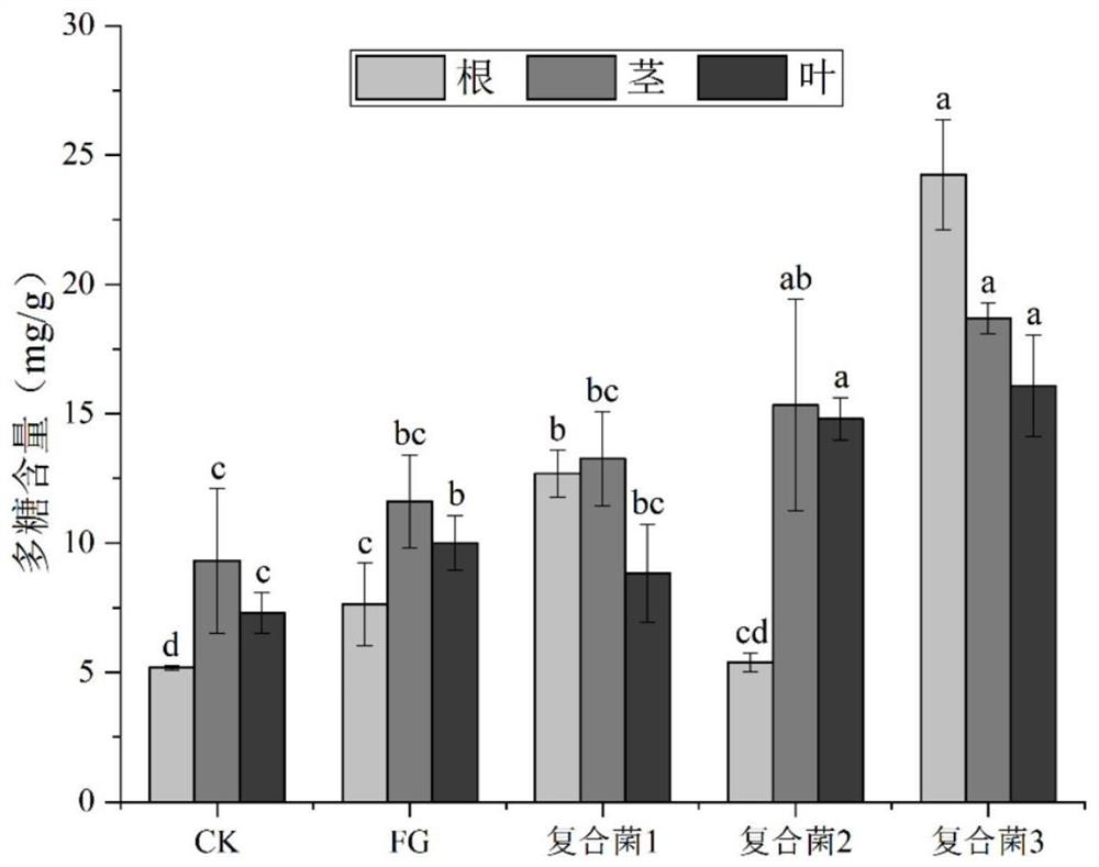 Composite preparation for promoting growth of codonopsis pilosula and preparation method and application thereof