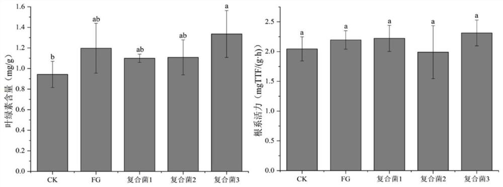 Composite preparation for promoting growth of codonopsis pilosula and preparation method and application thereof