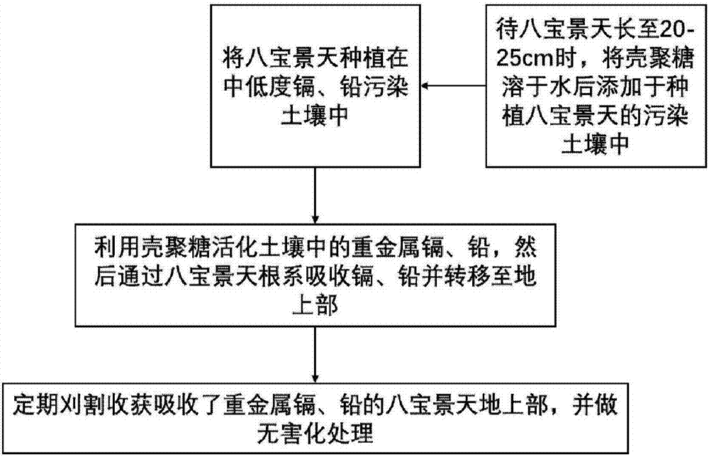 Method and activating agent for restoring cadmium and/or lead contaminated soil through Hylotelephium erythrostictum and application