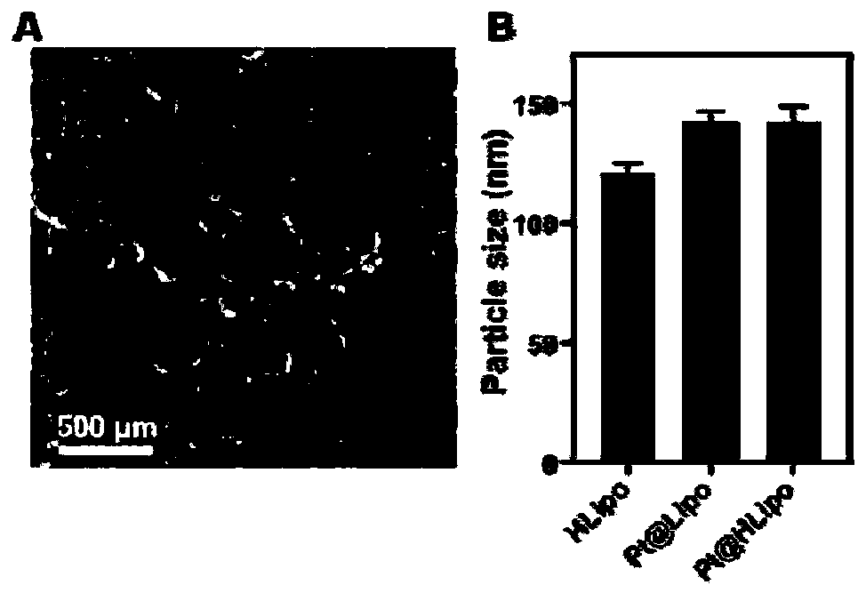 Oxygen self-supply type targeted nano photodynamic therapy system