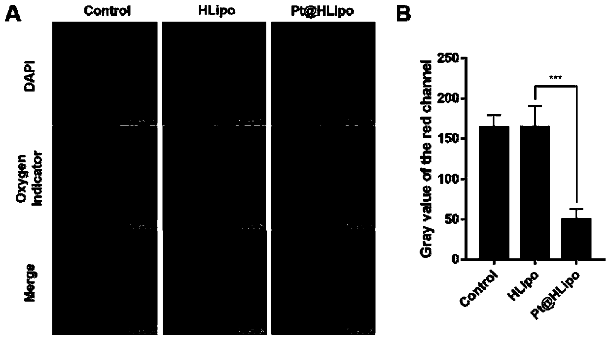 Oxygen self-supply type targeted nano photodynamic therapy system