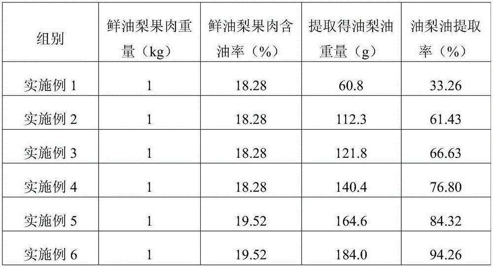 Persea americana oil enzymolysis extraction method