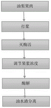 Persea americana oil enzymolysis extraction method