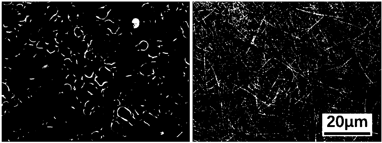 Hydroxyapatite-polylactic acid biological double-sided magical film as well as preparation method and application thereof