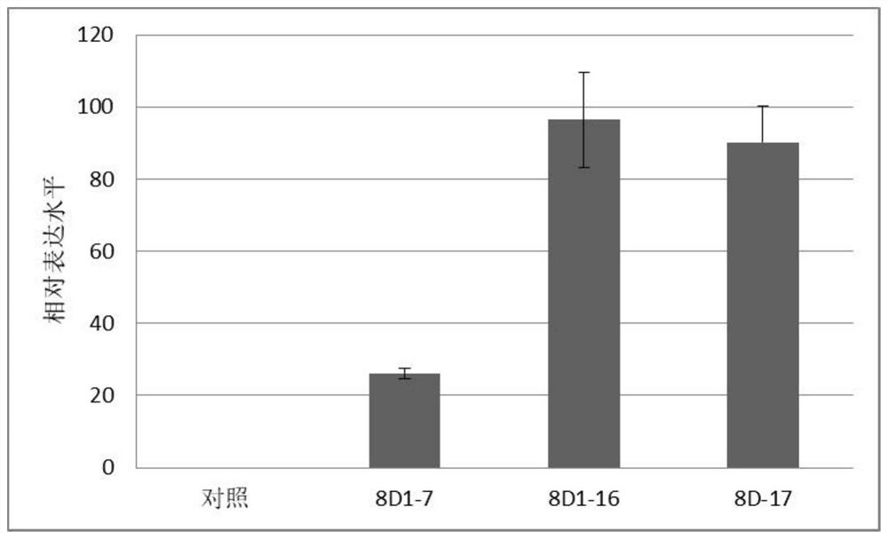 Method for improving mechanical properties of paper by using glycosyl transferase promoter to drive GA20ox